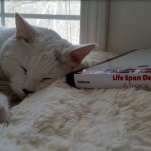 Meet your Posher, Deanna